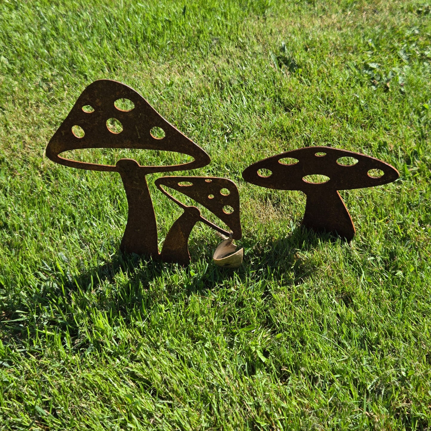 Pilz Set