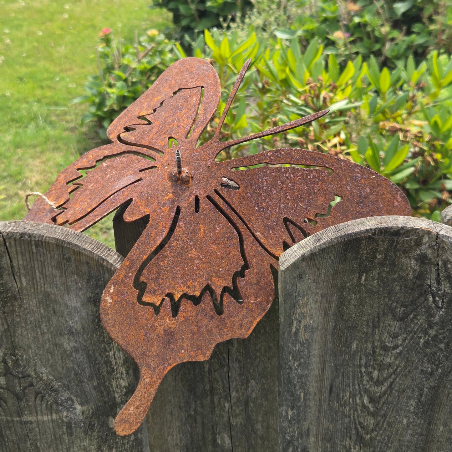 Schmetterling