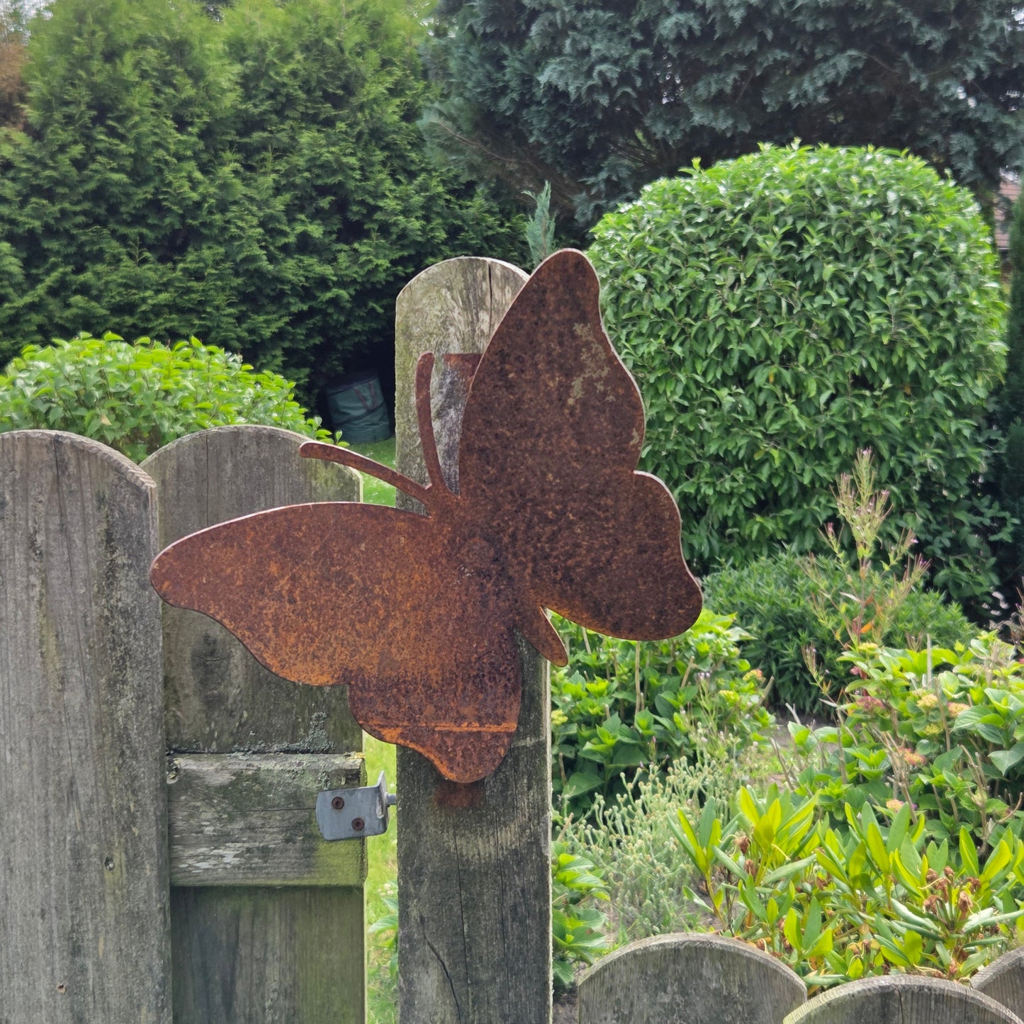 Schmetterling