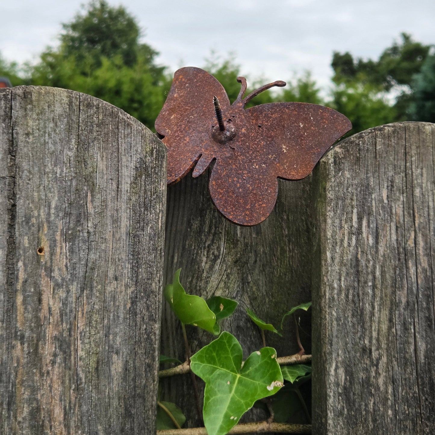 Kleiner Schmetterling mit Schraube