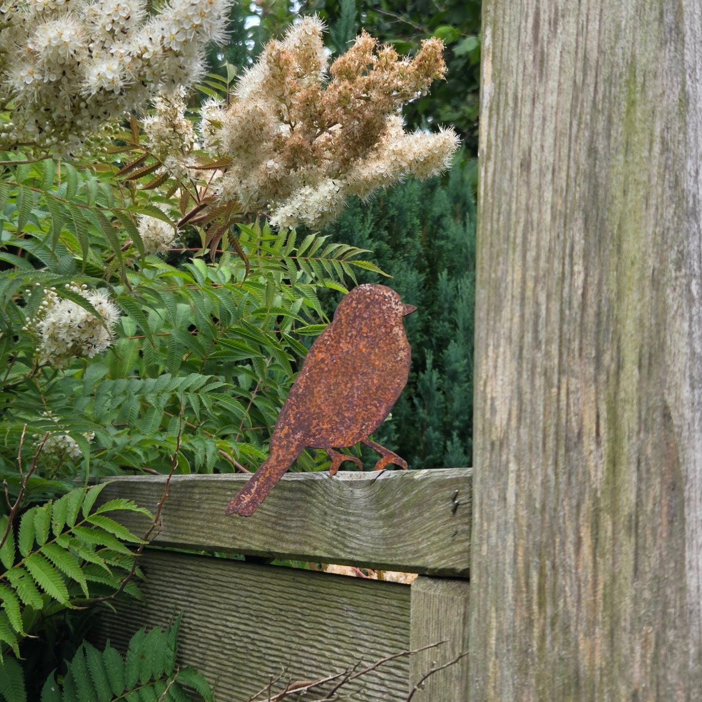 Vogel "Zwitscher"