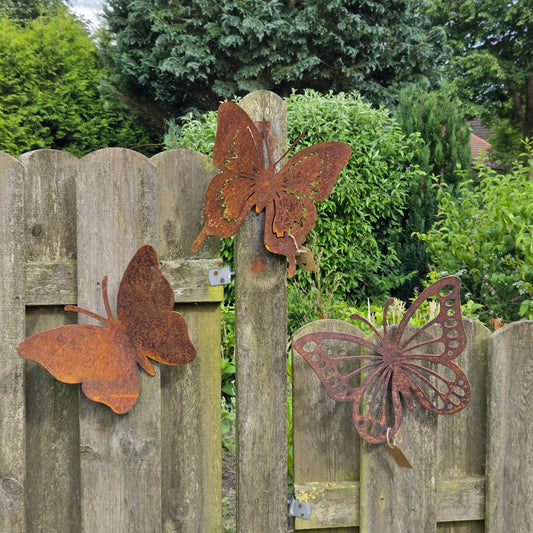 Schmetterling