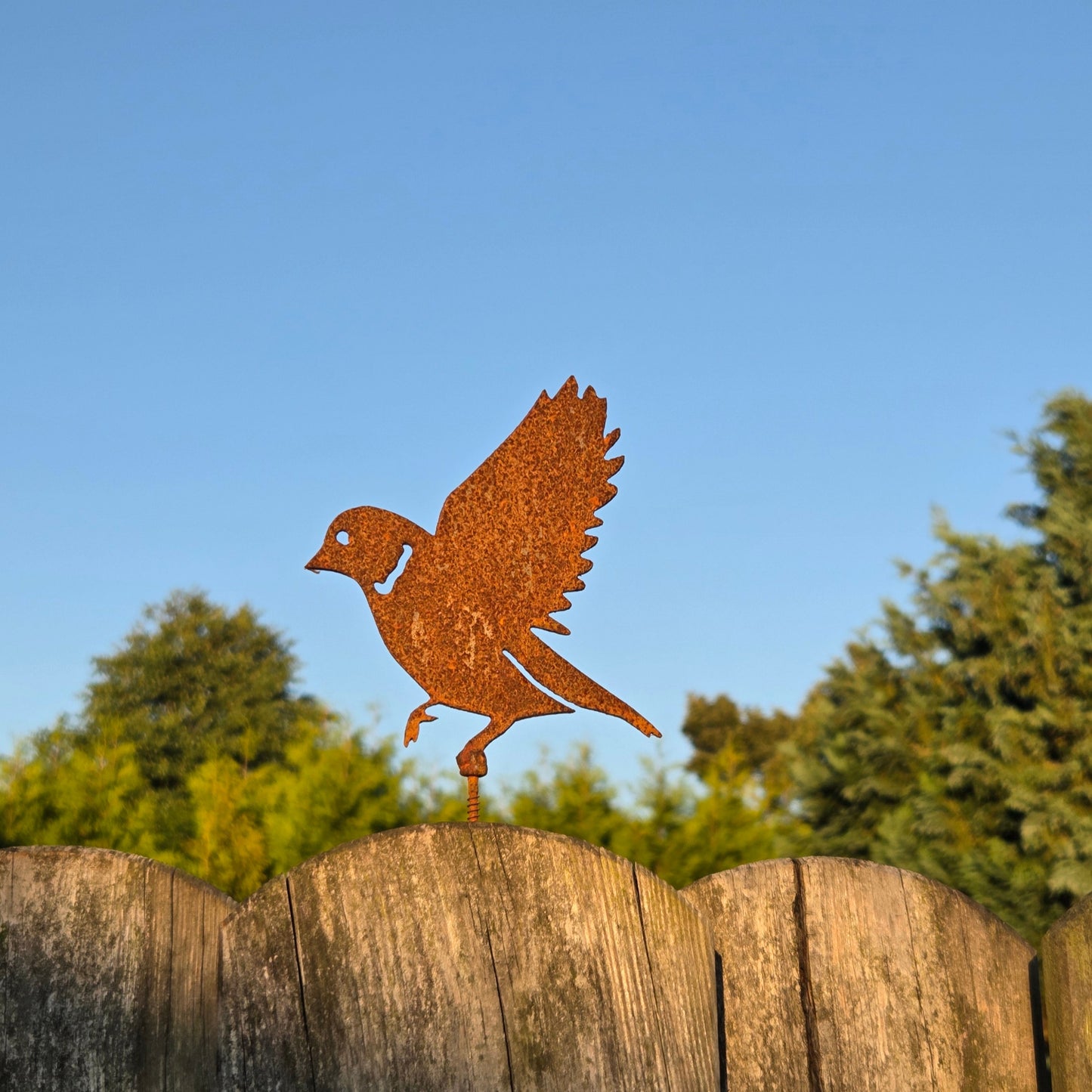 Vogel mit Schraube