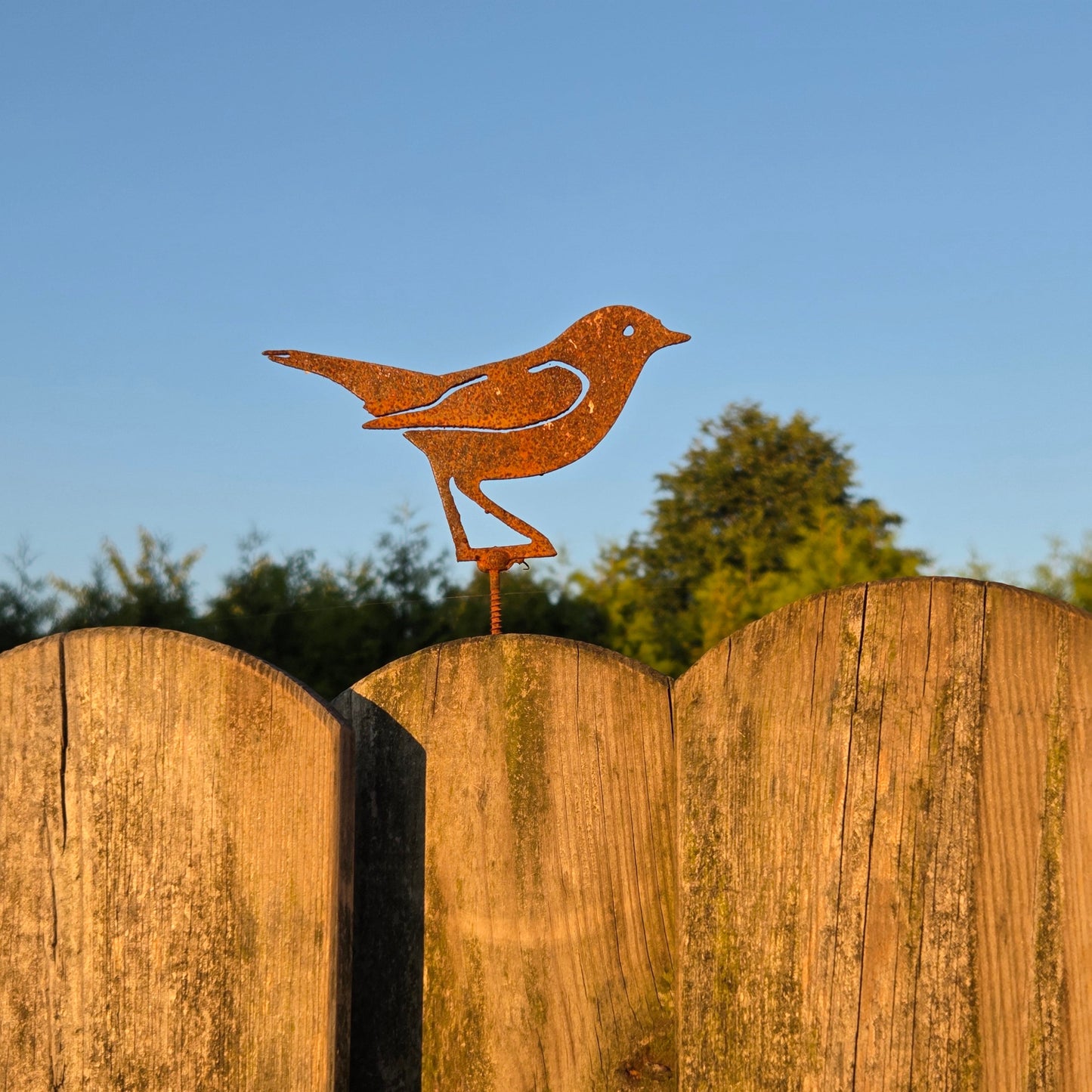 Vogel mit Schraube