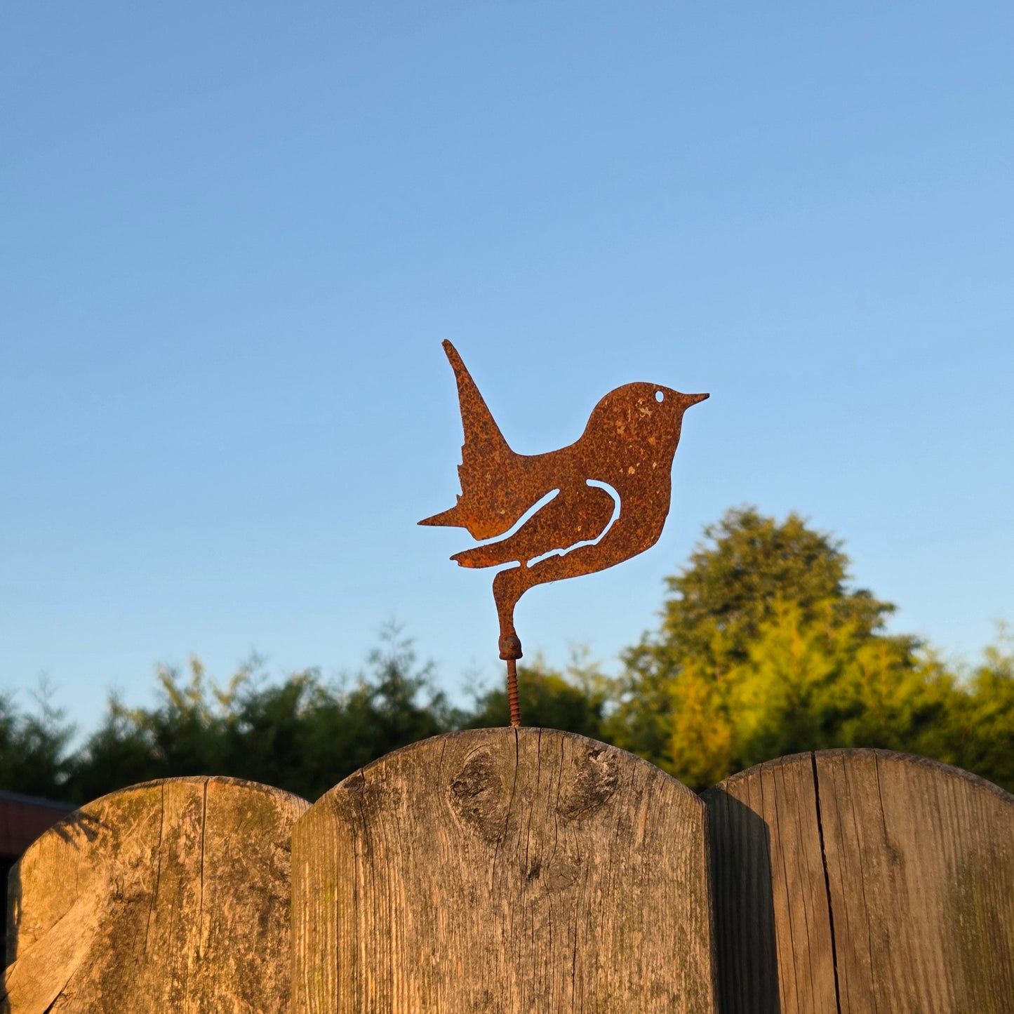 Vogel mit Schraube