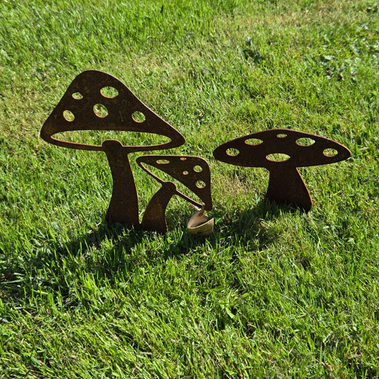 Pilz Set