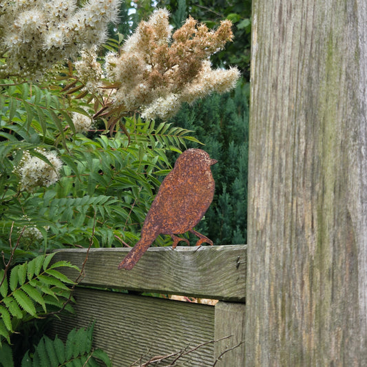 Vogel "Zwitscher"
