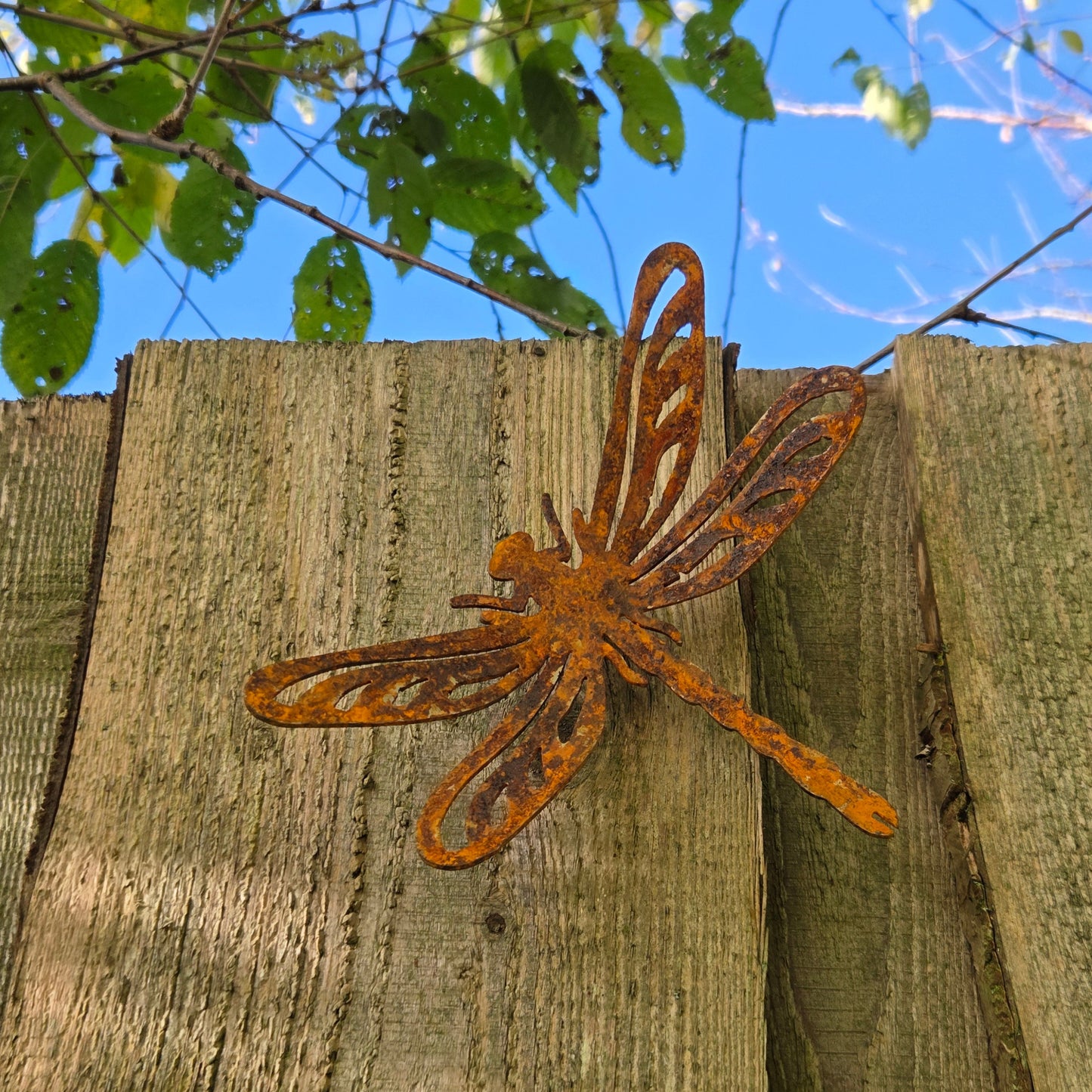 Edelrost Libelle zur Wandmontage