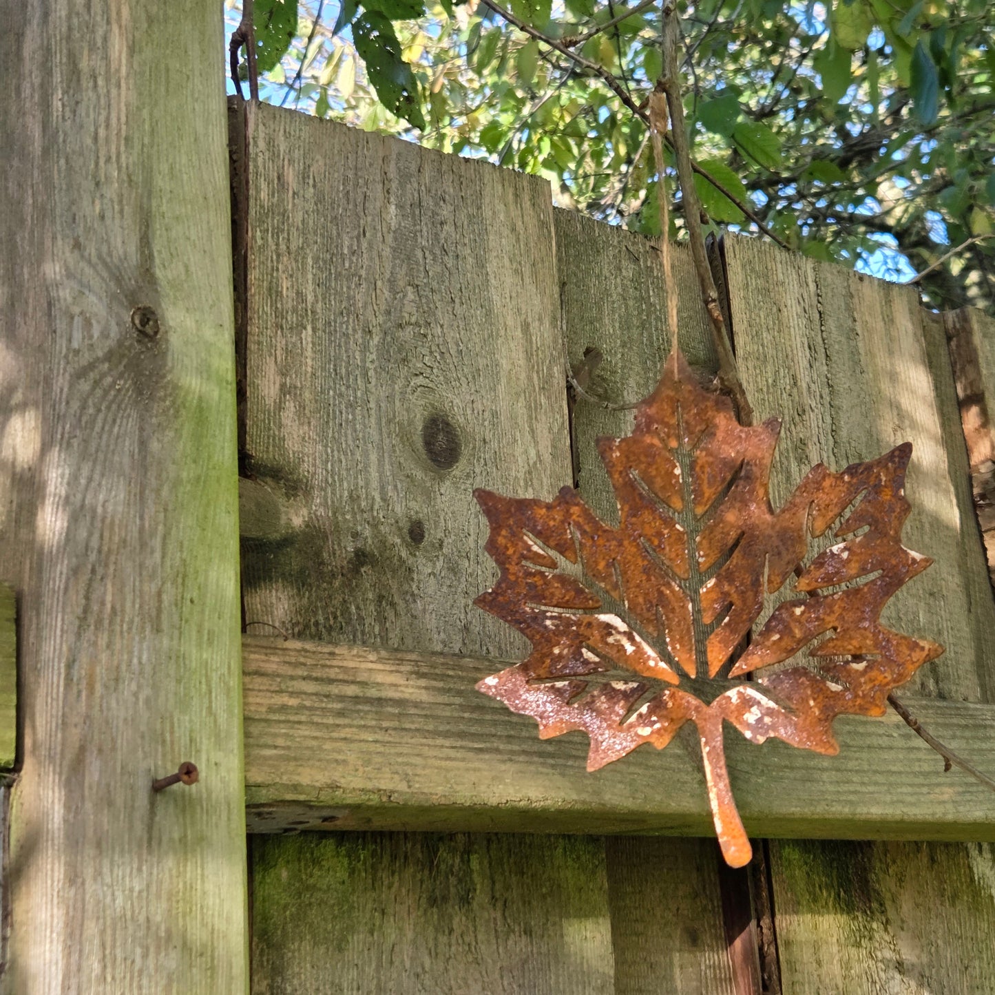 Edelrost Ahornblatt – 21 × 17 cm