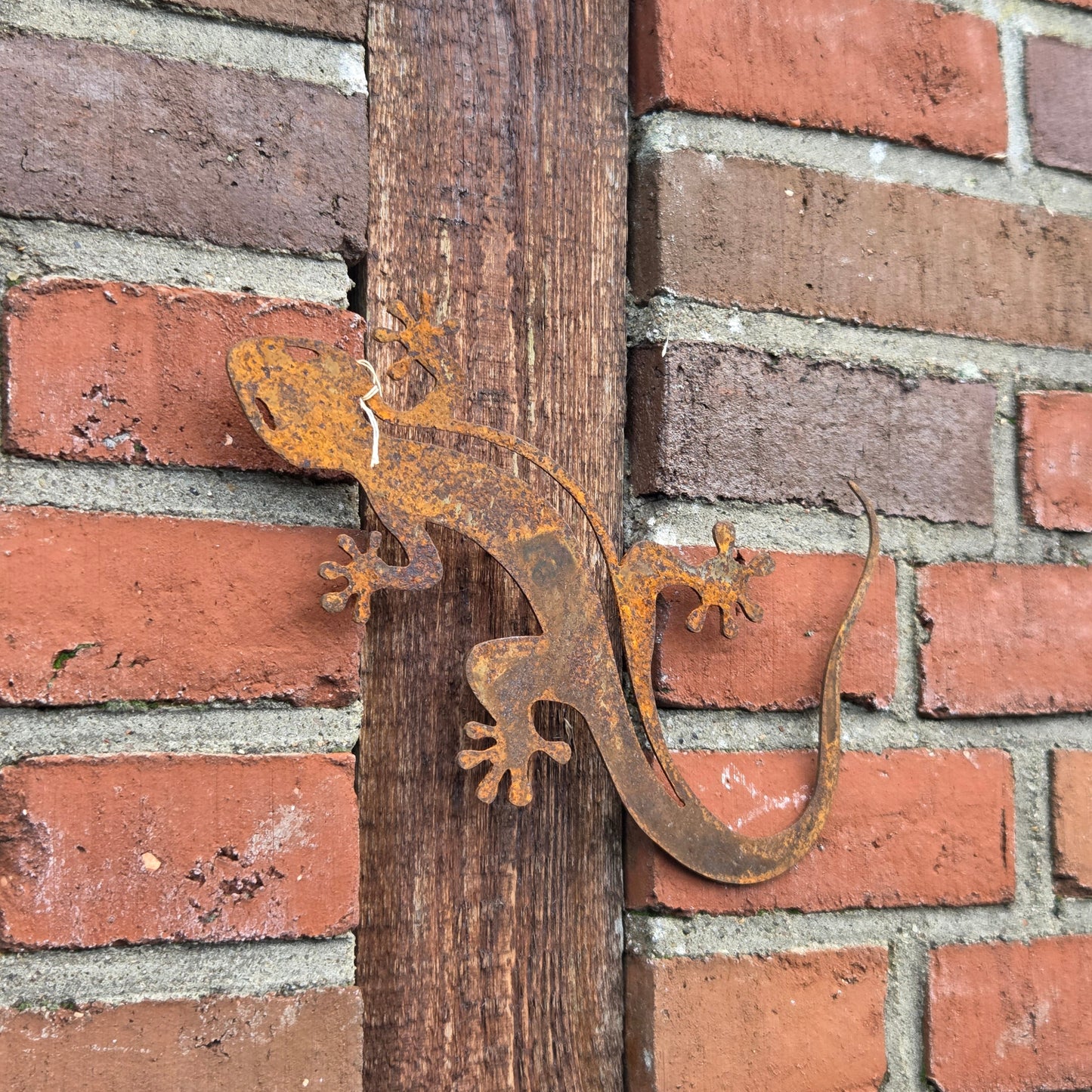 Edelrost Eidechse zur Wandmontage