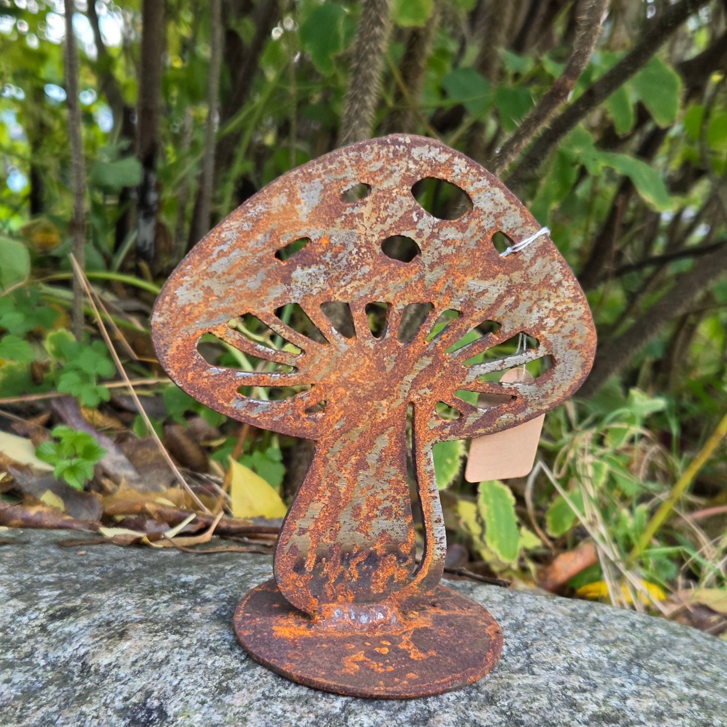 Edelrost Pilz – klein