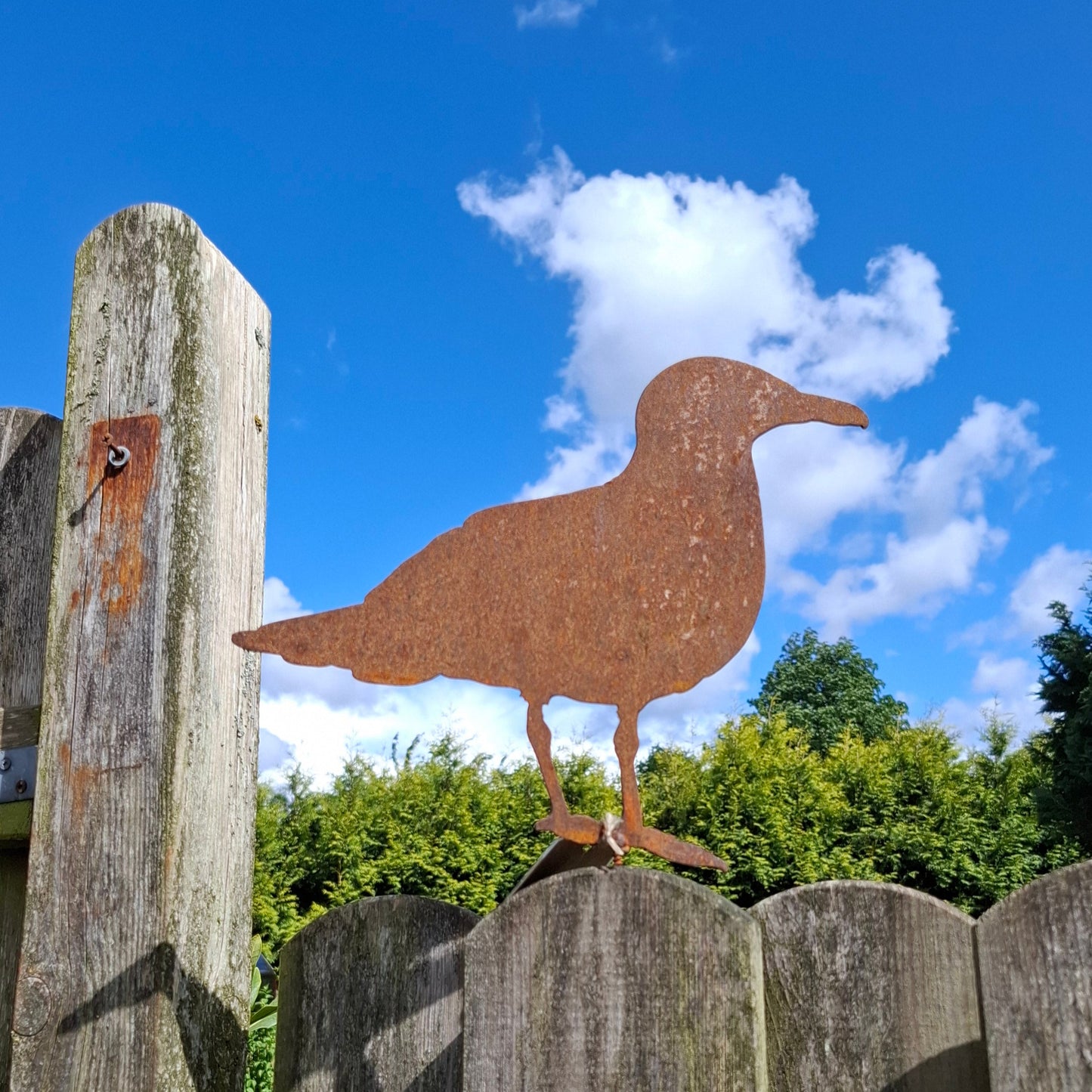 Möwe in Edelrostoptik mi Schraube